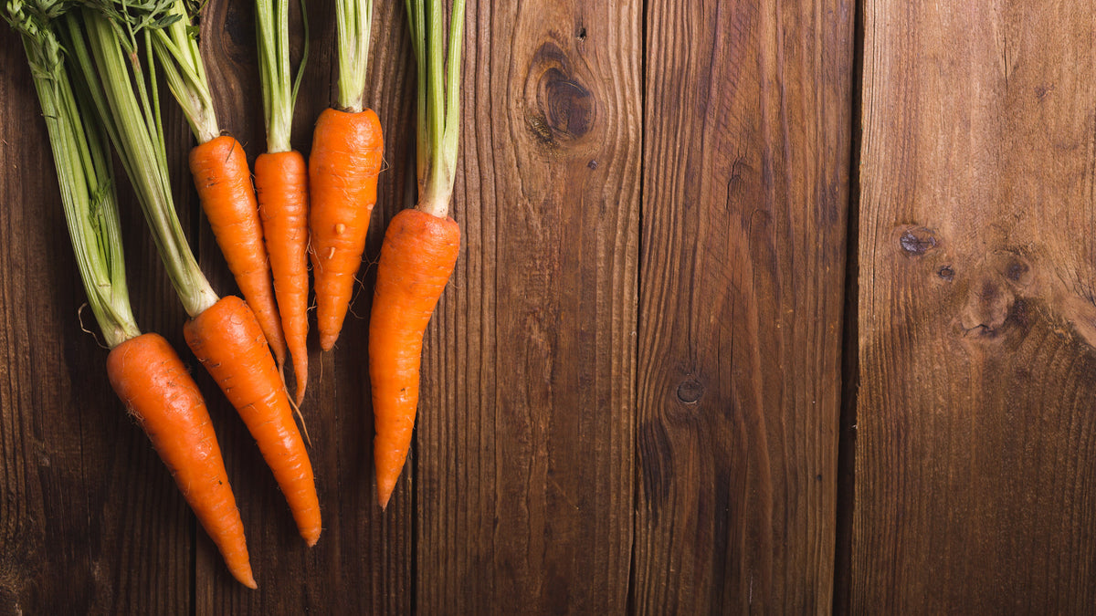 Carotina